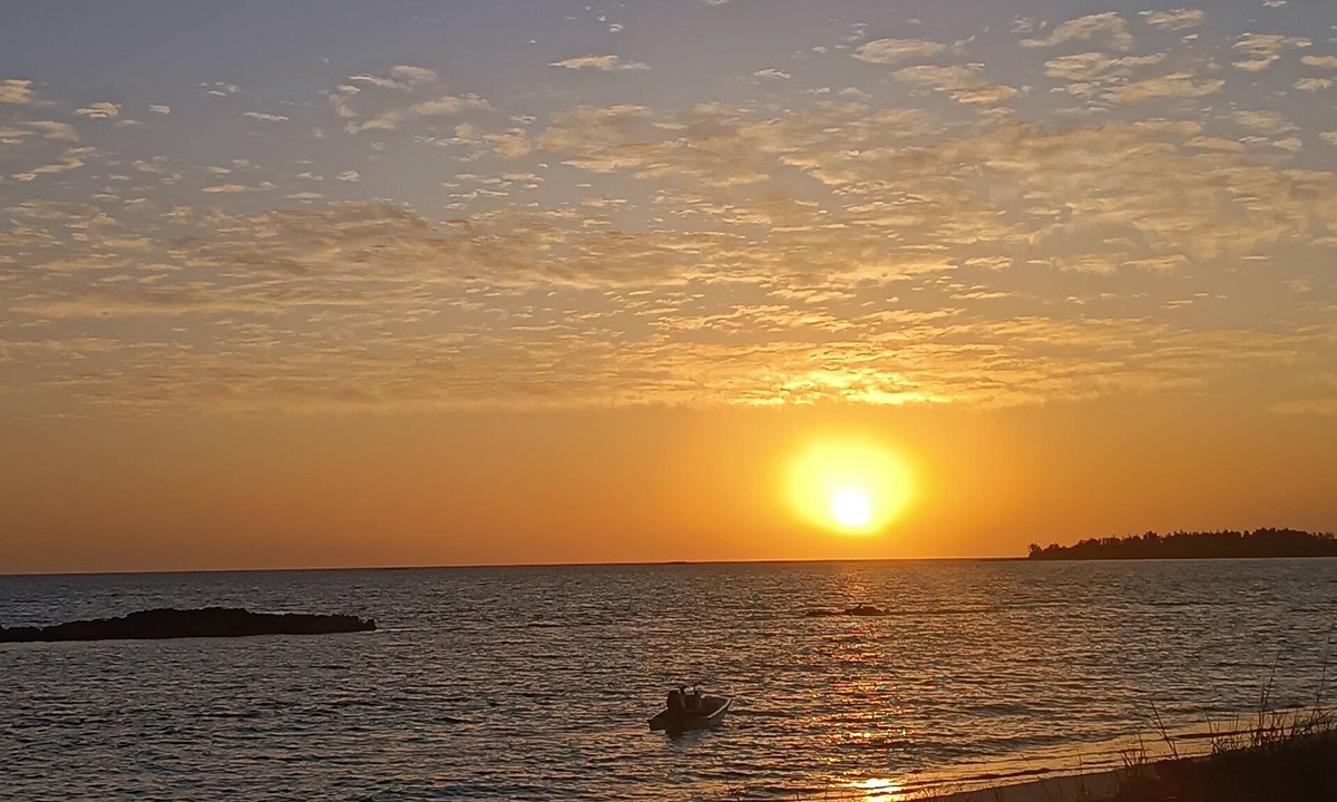 Rokers Point Apartment | 1 bedroom 1 bathroom beach house, beach right at your door steps