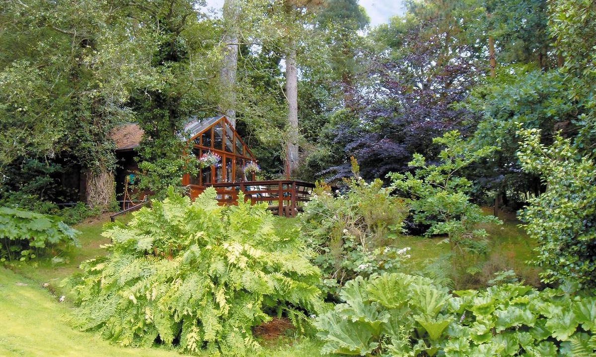 North Gorley Cottage | 1 bedroom accommodation in Furze Hill, near Fordingbridge