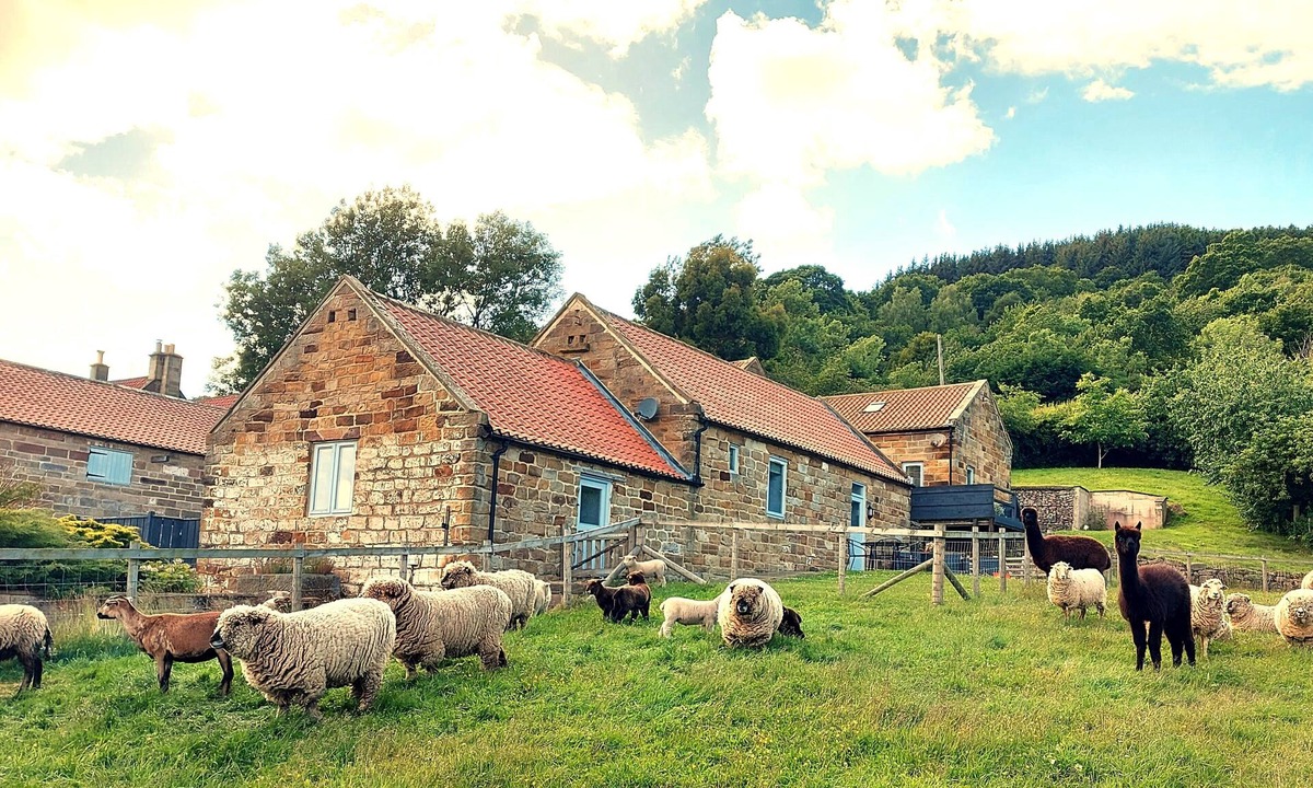 Egton Cottage | A Cosy Farm Cottage with Alpacas, Sheep & Donkeys — A Unique Stay Near Whitby
