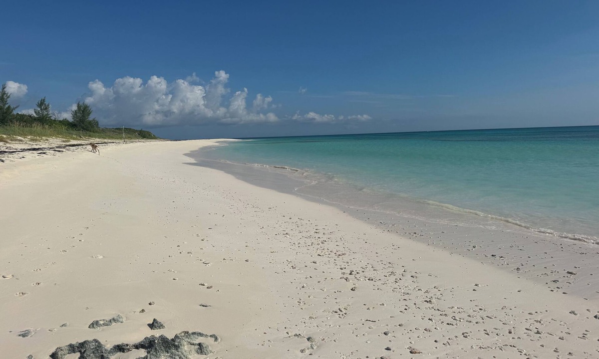 Great Guana Cay Resort | Abaco's New Luxury Resort.Beach, Marina, Pool & More! nOur 4BR/4BA Villa