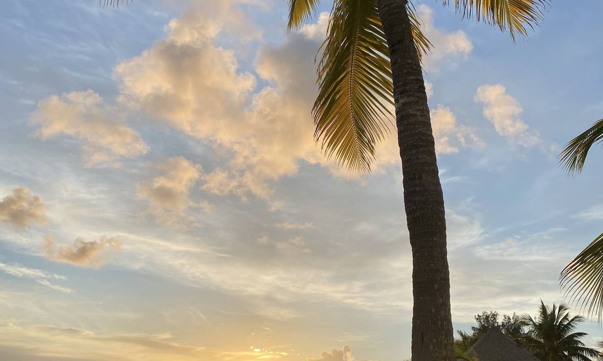 Bahama Palm Shores House | Beachfront Home in secluded Casuarina Point