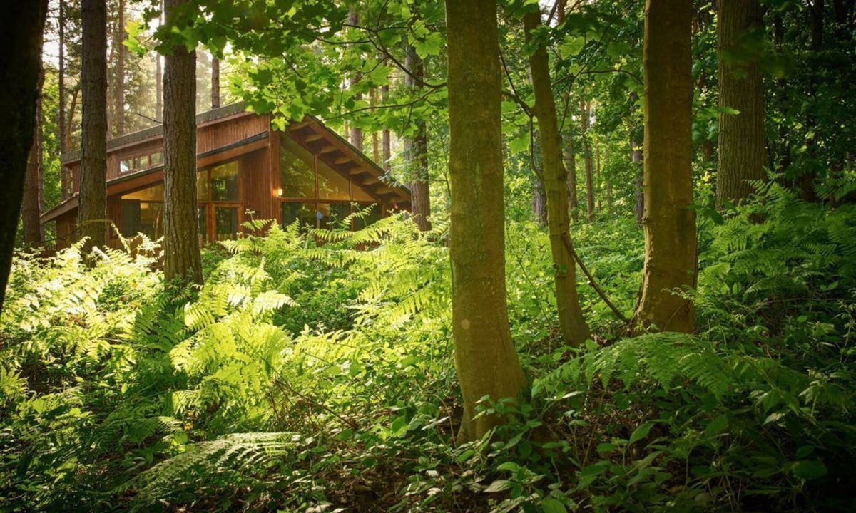 Freefolk Cabin | Blackwood Forest Golden Oak Hideaway, Winchester