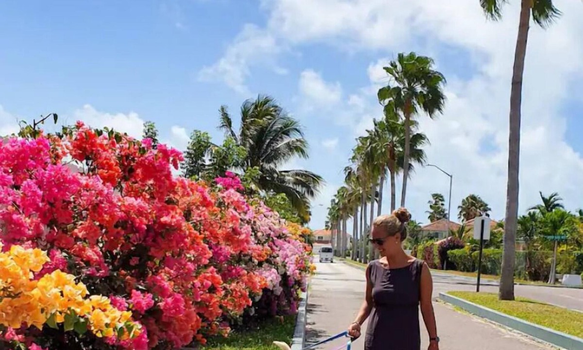 Nassau House | Budget friendly Solo Travelers only. Pls read all before booking NO hot water.