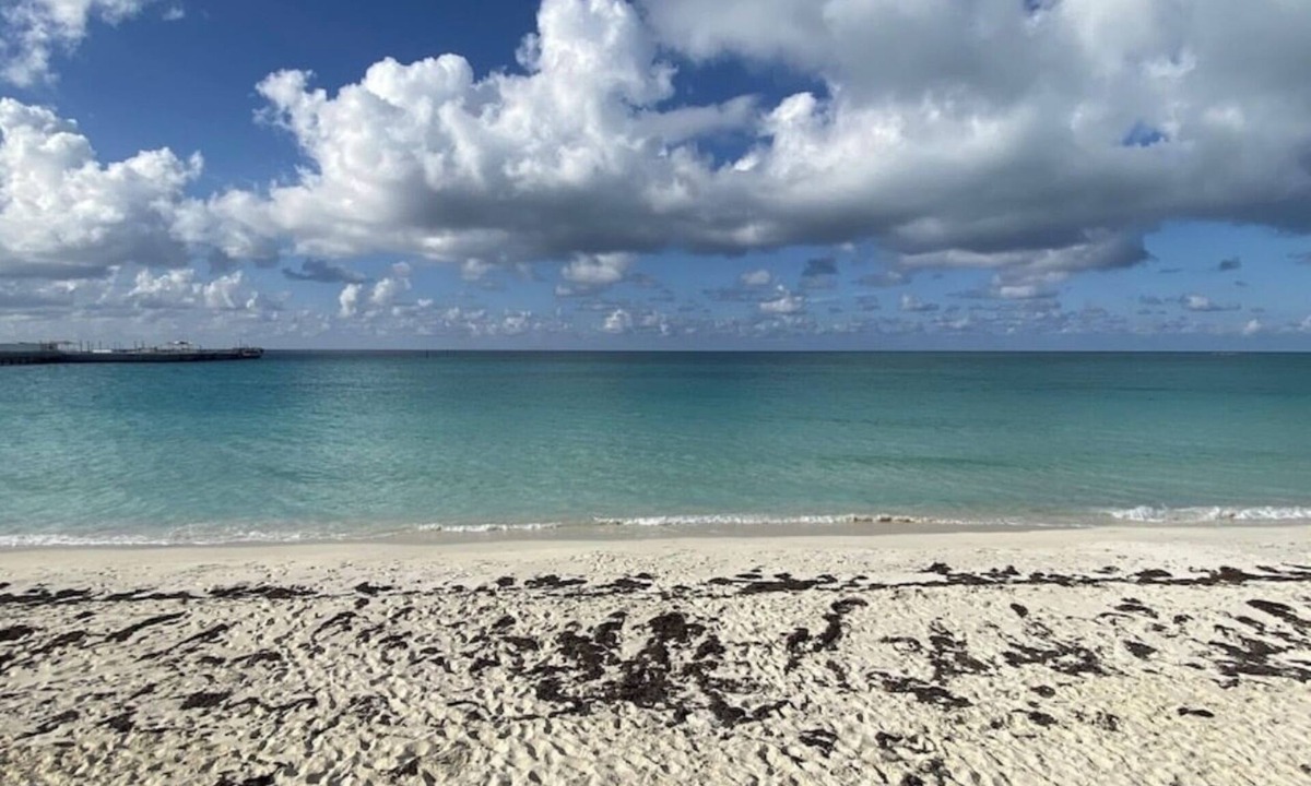 Alice Town Condo | Chic 2-bedroom condo in brilliant Bimini Bay, steps from the Beach, WiFi, AC