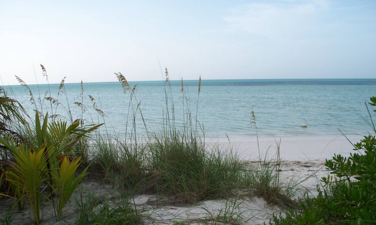 Spanish Wells Cottage | Conched Out Island Cottage, golf cart and ocean kayak included