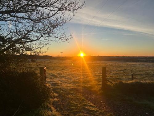 Rosevine Other | Cranford Oak Farm Campsite