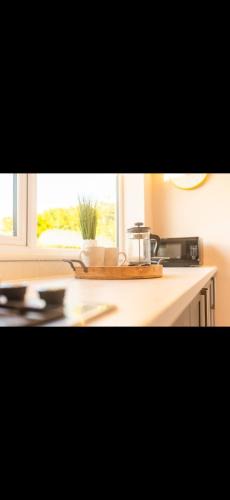 Cheadle House | Dottys Place
