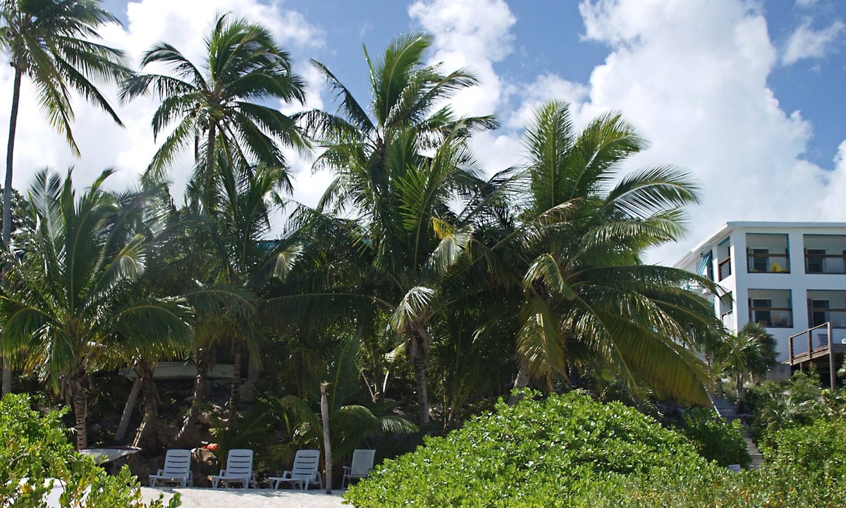 Great Exuma Condo | Driftwood First Floor Condo at Hoopers Bay With Stunning Views