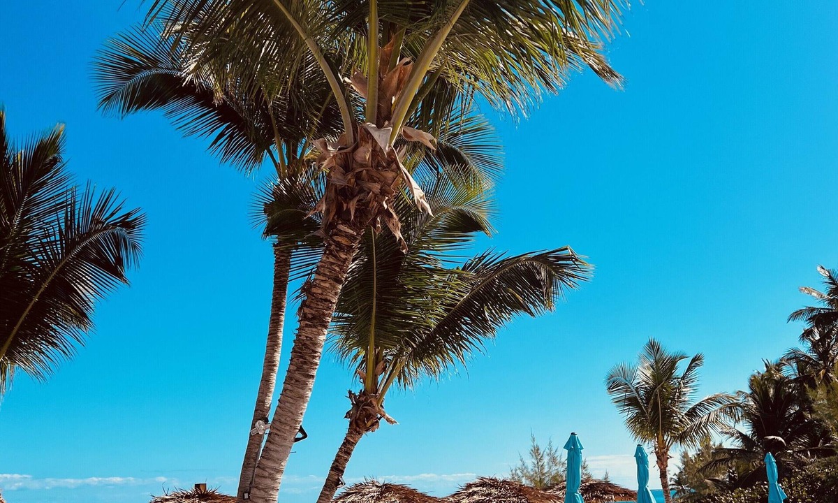 Farmer's Hill Resort | Exuma Palms Resort