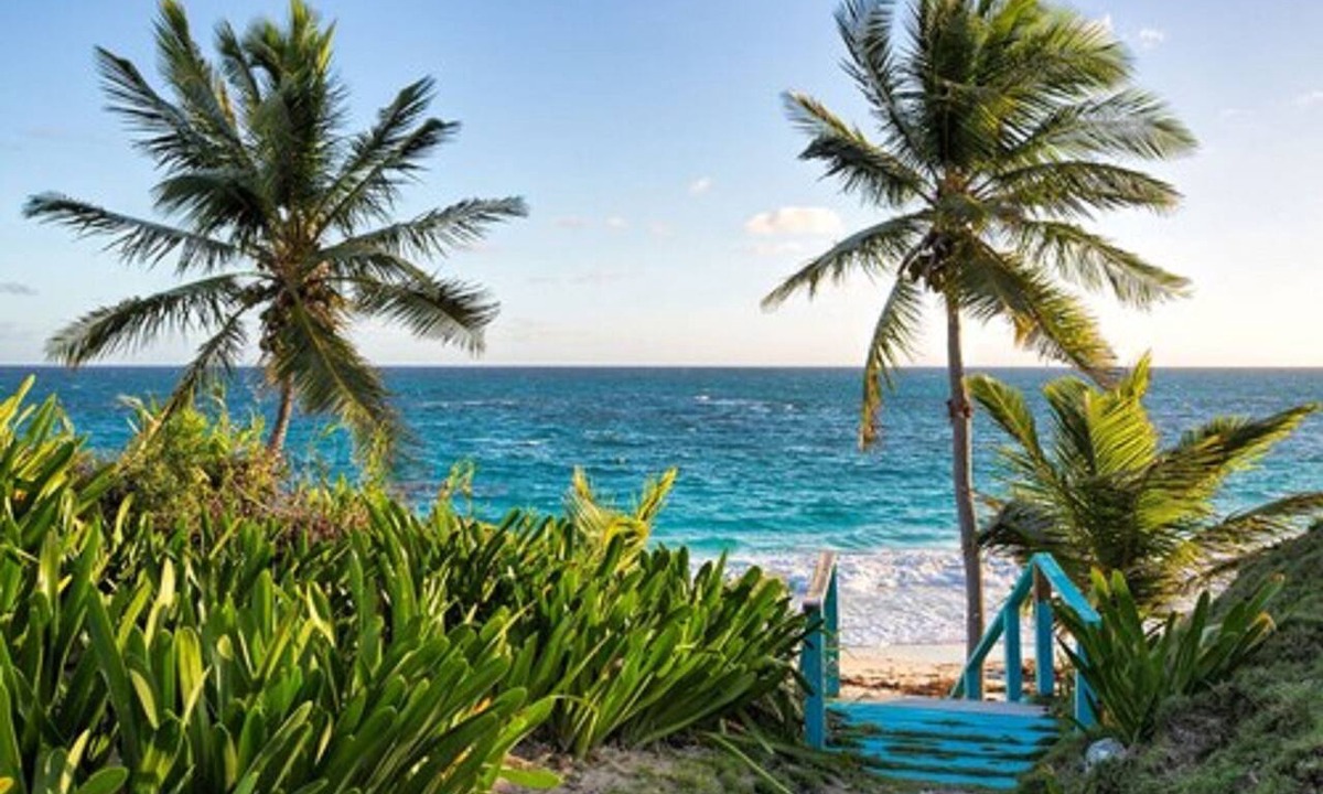 North Palmetto Point Hotel | La Bougainvillea Hotel and Villas