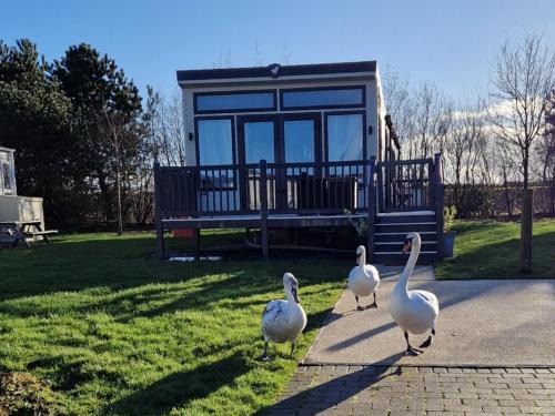 Flookburgh House | Lake District Willerby Vogue Lodge, Lake View on Haven Lakeland Gold Grade