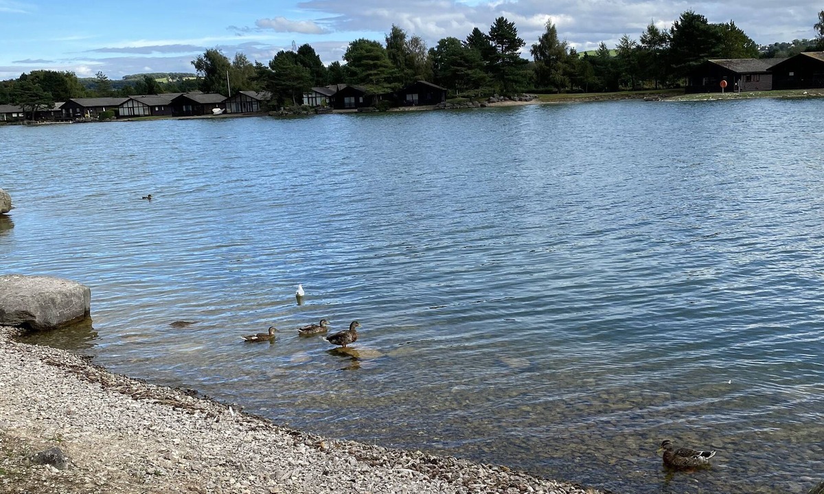 Warton Cabin | Lodge at PineLakes resort
