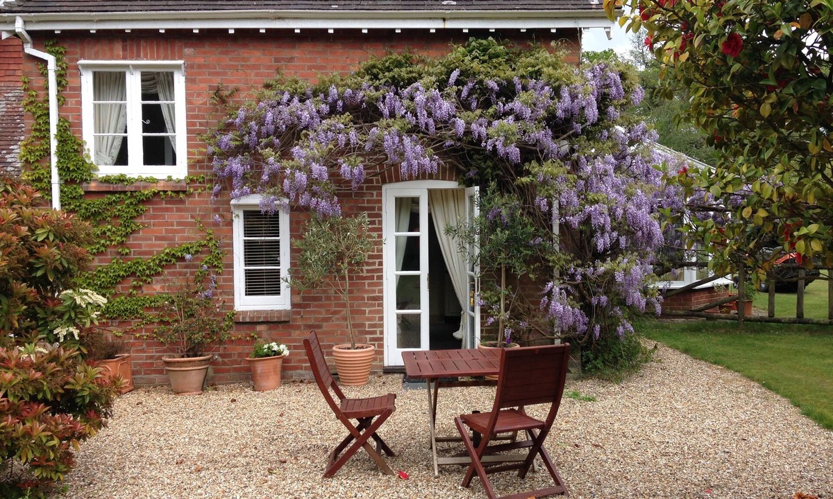 Burley Cottage | Lovely little cottage in the heart of the New Forest National Park