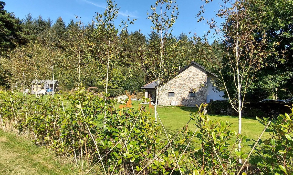 St Wenn House | LUXURY WOODLAND RETREAT