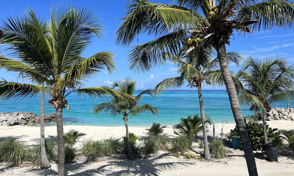 South Bimini Condo | Oceanfront /Private beach (1/1) - steps to the marina.