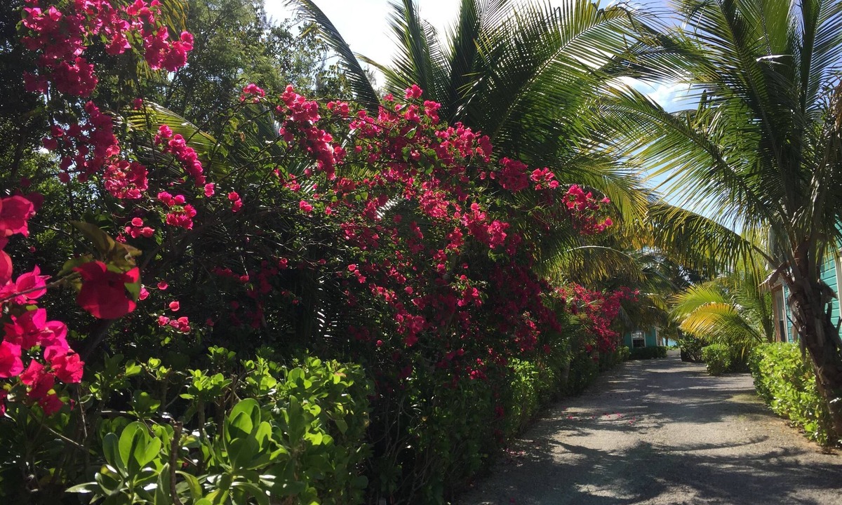 Freeport Cottage | Paradise on miles of white sandy beach and turquoise sea, private and secure.