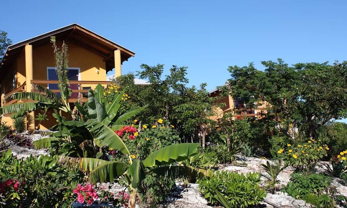 Orange Creek House | Parrot Bungalow