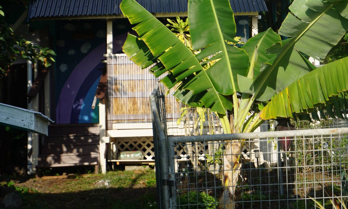 Opihihale Apartment | Peaceful farm stay on the hills of West Hawaii overlooking the pacific ocean!