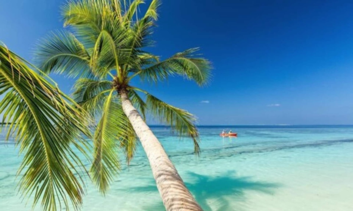 Stocking Island Hotel | Saint Francis Resort