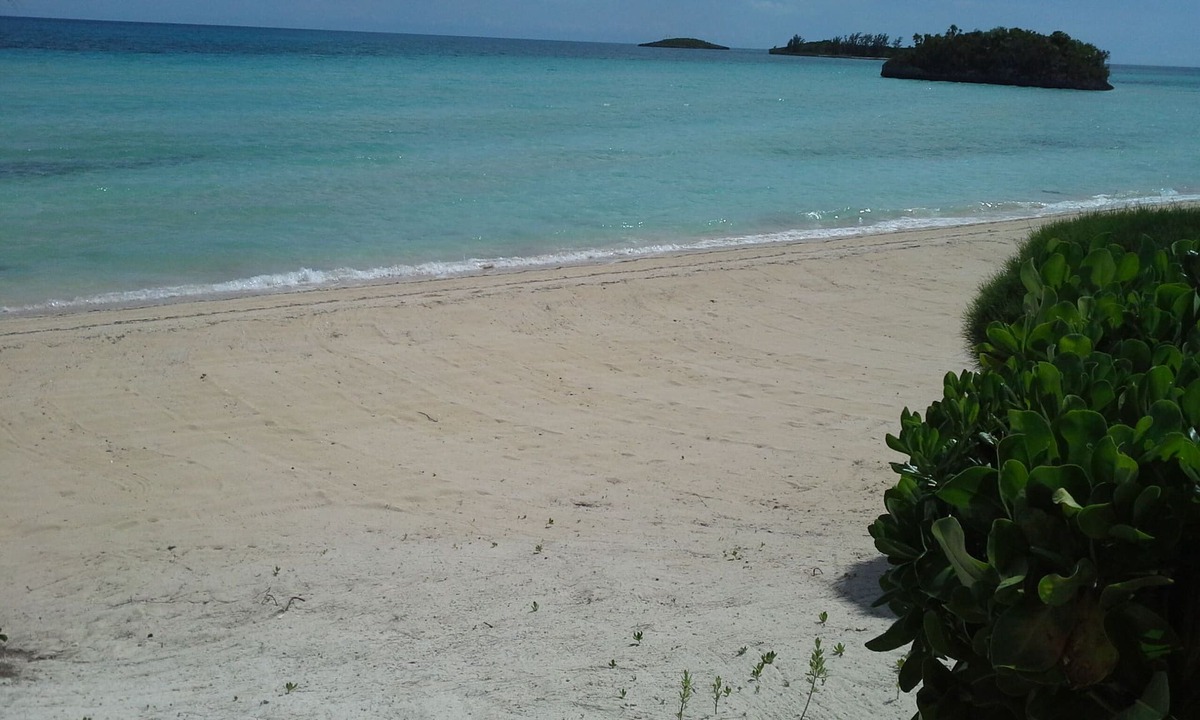 South Palmetto Point Apartment | Sandy beach for total relaxation