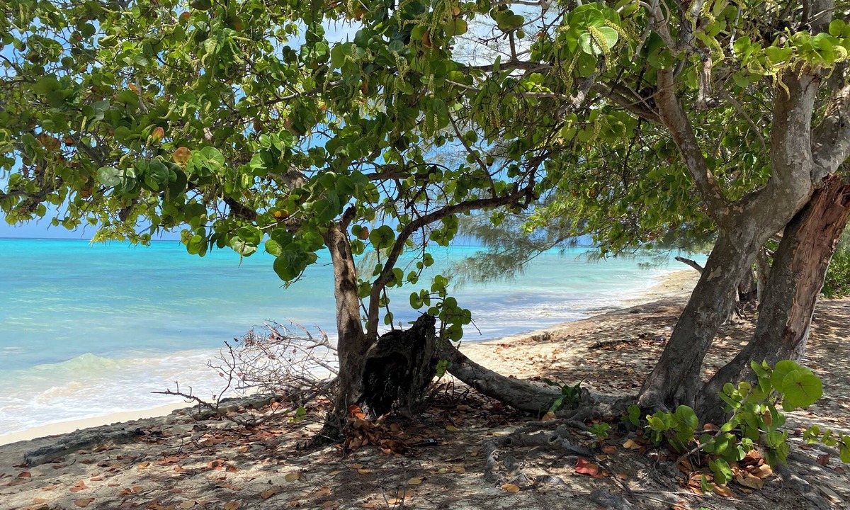 Gambier Apartment | Sea Shells, your island home away from home is a studio/efficiency off West Bay.
