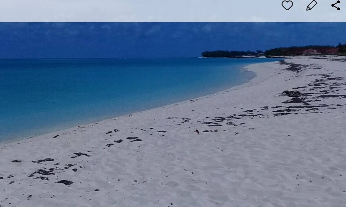 South Bimini Apartment | Small's Cozy Rest 5, two bedroom with dock