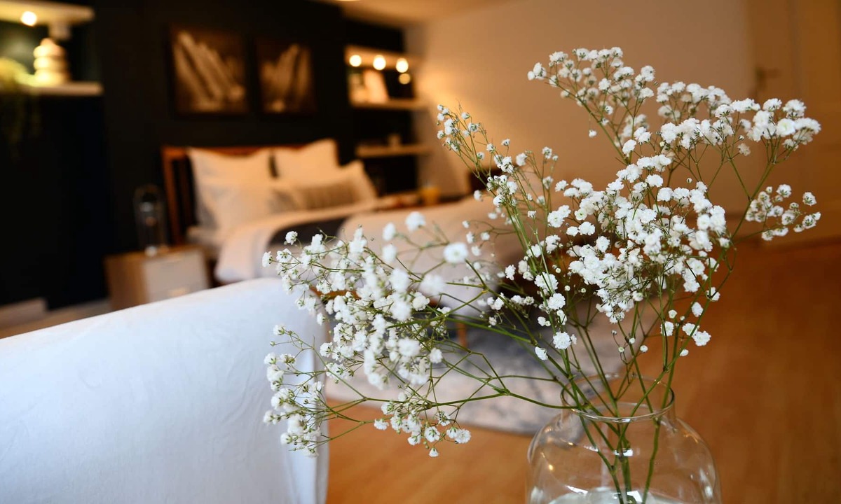 Montpellier Apartment | Spacious 3 Bed Cotswold Retreat in Cheltenham