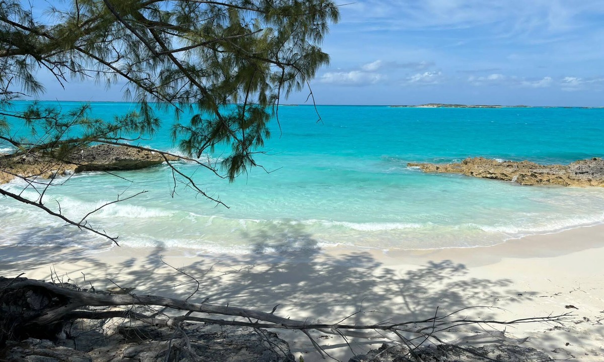 Hartswell Apartment | Spacious apartment 5 minute away from three breathtaking beaches