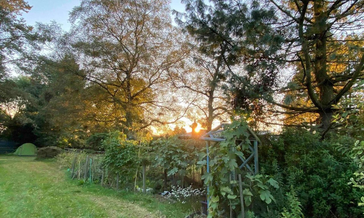 Cleedownton Apartment | Studio-lickeyhills-nearattractions-garden-1 Pet Ok