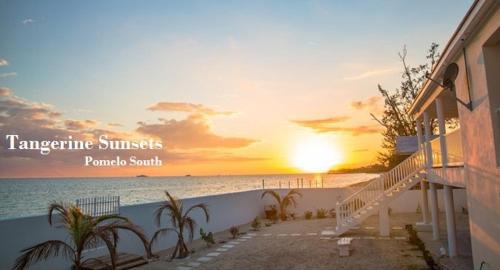 Adelaide House | Tangerine Sunsets Pomelo South