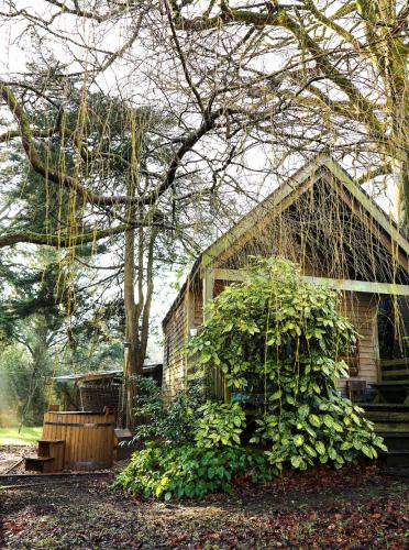 Saint Kew Apartment | The Beech Hut, Wood Fired Hot Tub, St Kew Escapes