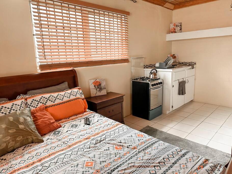 Nassau Apartment | The Dames Studio Apartment