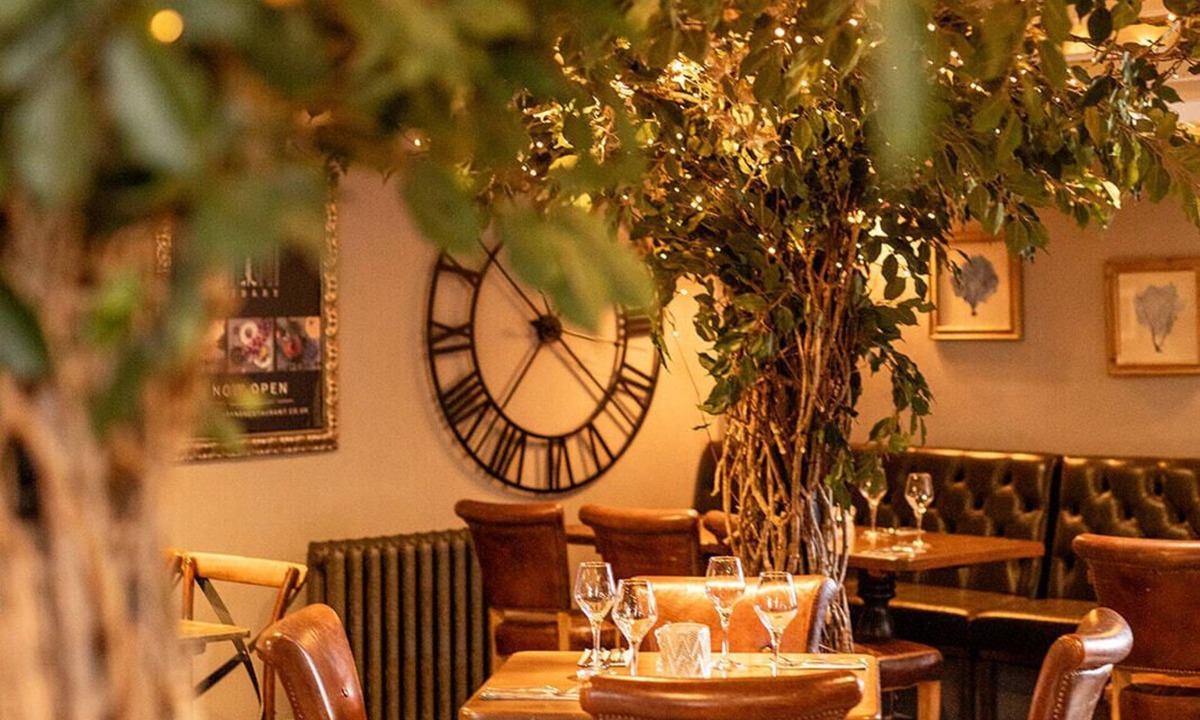 Willington Hotel | The Dragon