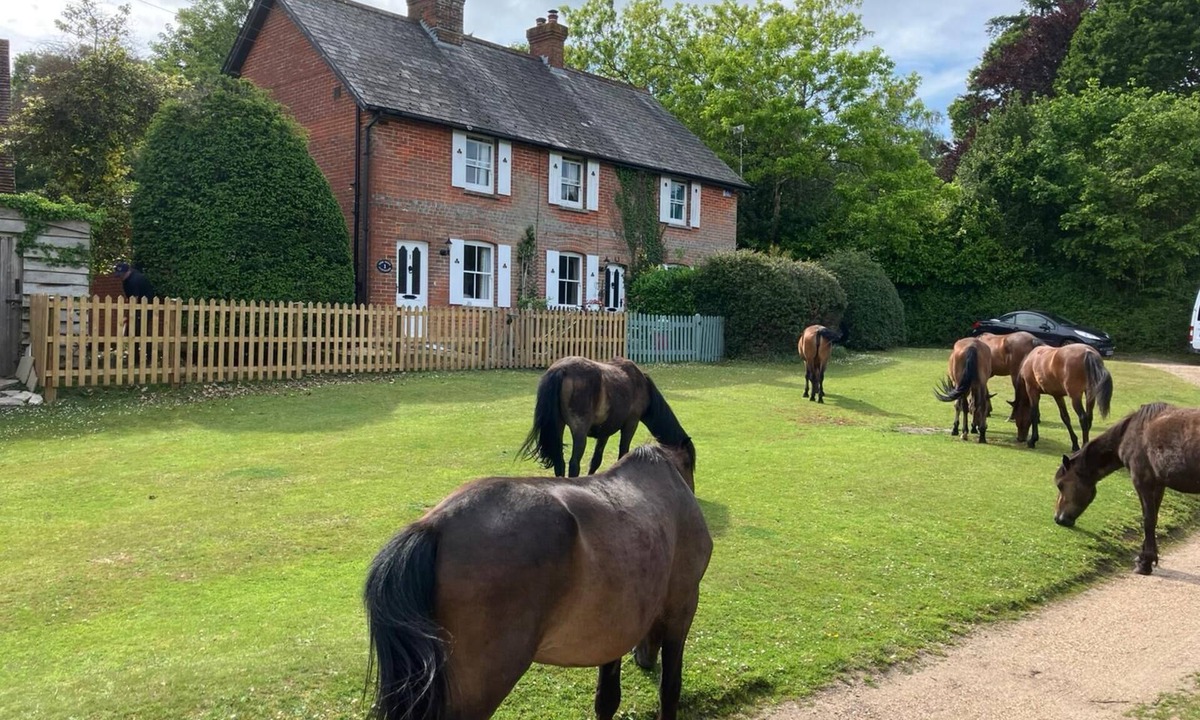 Emery Down Cottage | Yew Tree Cottage in the Heart of the New Forest