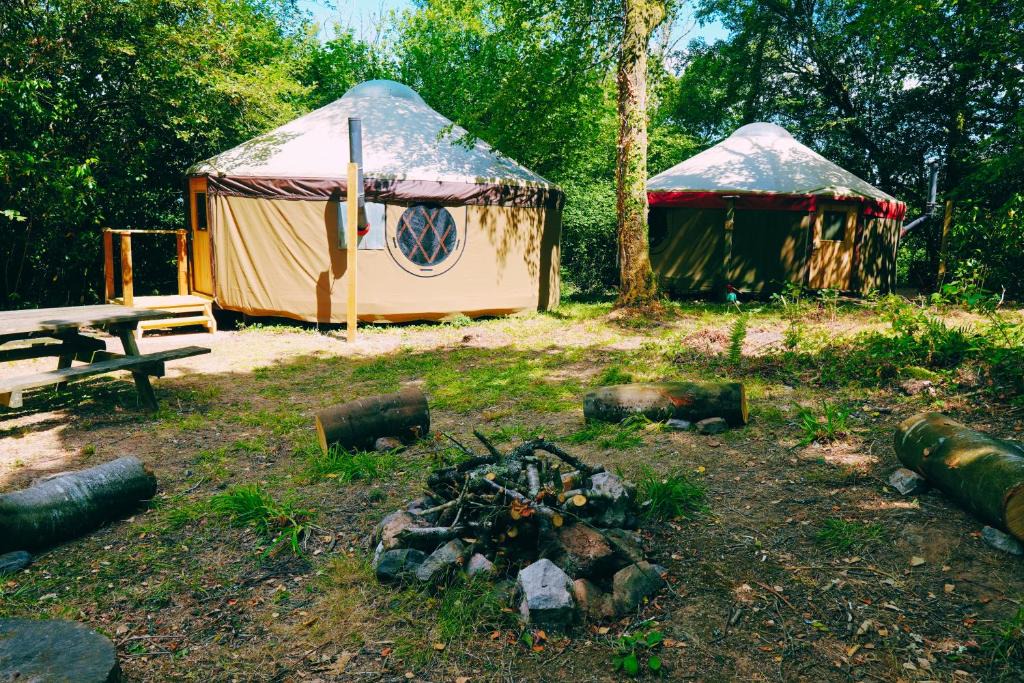 Liverton Other | Yurtcamp Devon