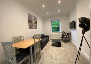 luxury central london apartment
