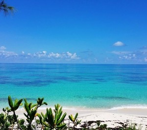 Villa Htd Resort Privileges Generator 