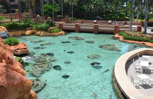 Paradise Island Resort | 3 Bedroom - Harborside Resort at Atlantis - Full Resort Access
