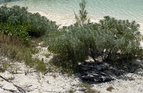 Green Turtle Cay House | 3b/3b, whole house generator, 238 steps to Coco Bay. Sleeps 4-6-8. City water.