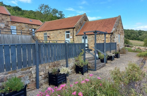 Egton Cottage | A Cosy Farm Cottage with Alpacas, Sheep & Donkeys — A Unique Stay Near Whitby