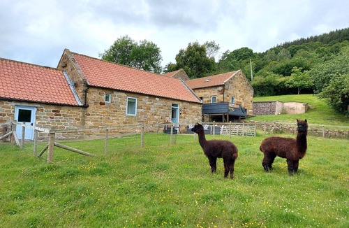 Egton Cottage | A Cosy Farm Cottage with Alpacas, Sheep & Donkeys — A Unique Stay Near Whitby