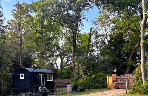 New Forest District Cabin | A lodge/cabin that sleeps 2 guests in 1 bedroom - 3 nights for the price of 2 nights in July!