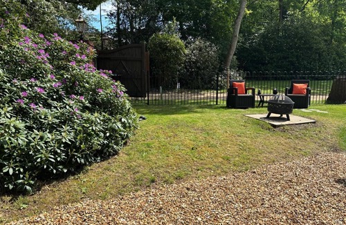 New Forest District Cabin | A lodge/cabin that sleeps 2 guests in 1 bedroom - 3 nights for the price of 2 nights in July!