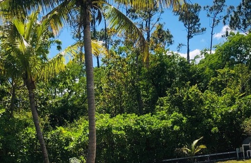 Lucaya Cottage | A quaint 2 bedroom cottage minutes from the beach and Port Lucaya.