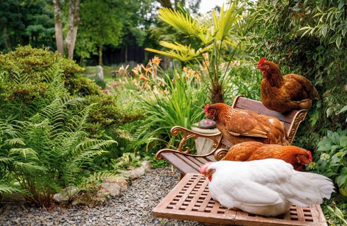 Brazzacott Cottage | ASH COTTAGE, family friendly, character holiday cottage in Warbstow