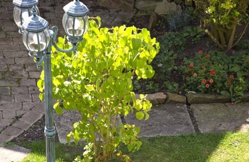 Chirnside Cottage | BANK VIEW, pet friendly, character holiday cottage in Chirnside