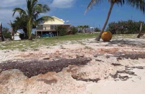 Spanish Wells House | Beachfront - Royal View Villa