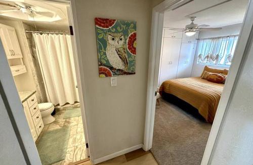 Kihei Apartment | Beautiful Oceanfront, AC In Each Room, Sleeps 6