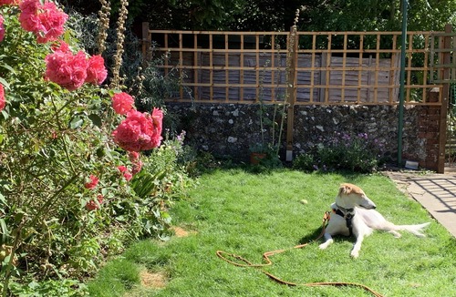 Alfriston Cottage | Bell Cottage by inspirestays.com - a cottage that sleeps 4 guests in 2 bedrooms