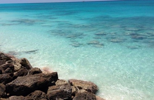 Alice Town House | Bimini, Cracked Conch 18 slip - 60Ft